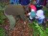 dscn4530_small.jpg