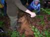 dscn4531_small.jpg