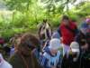 dscn4532_small.jpg