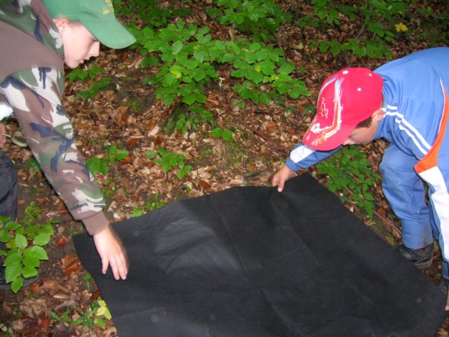 dscn4533.jpg