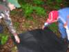 dscn4533_small.jpg