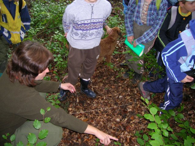 dscn4535.jpg