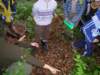 dscn4535_small.jpg