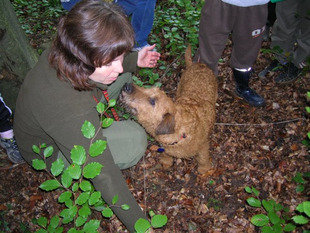 dscn4537.jpg