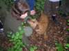 dscn4537_small.jpg