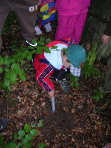 dscn4539.jpg