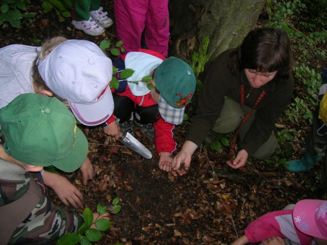 dscn4540.jpg