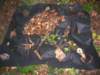 dscn4543_small.jpg