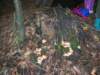 dscn4547_small.jpg