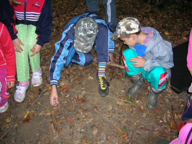 dscn4552.jpg