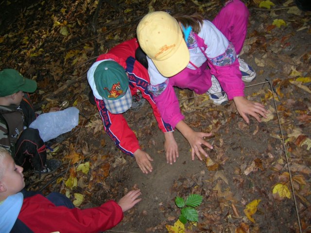 dscn4559.jpg
