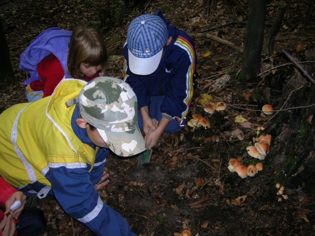 dscn4561.jpg