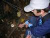 dscn4563_small.jpg