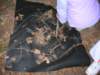 dscn4568_small.jpg