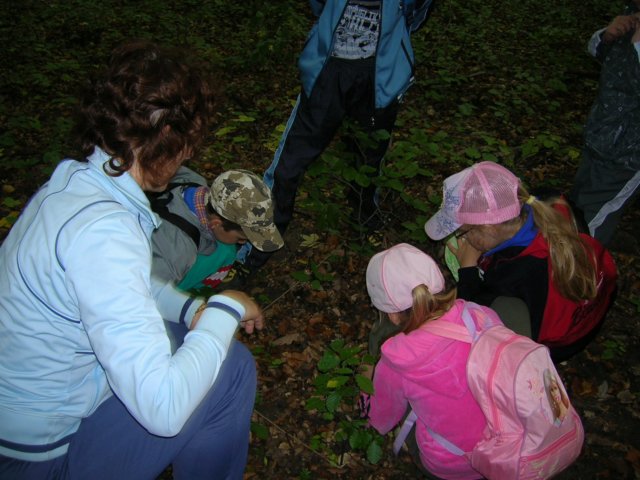 dscn4575.jpg